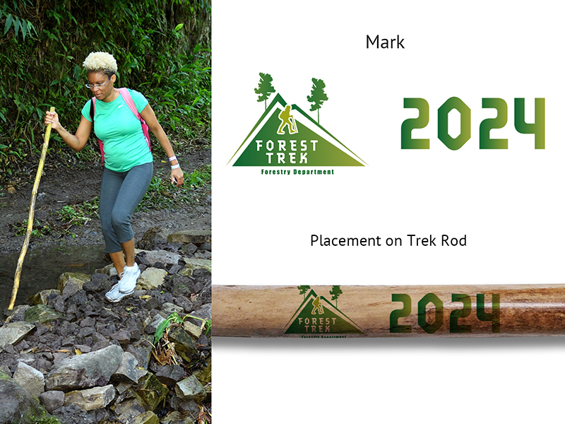 Trek Rod